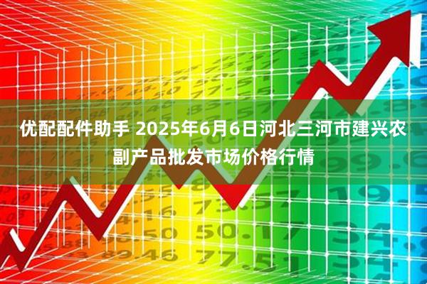 优配配件助手 2025年6月6日河北三河市建兴农副产品批发市场价格行情