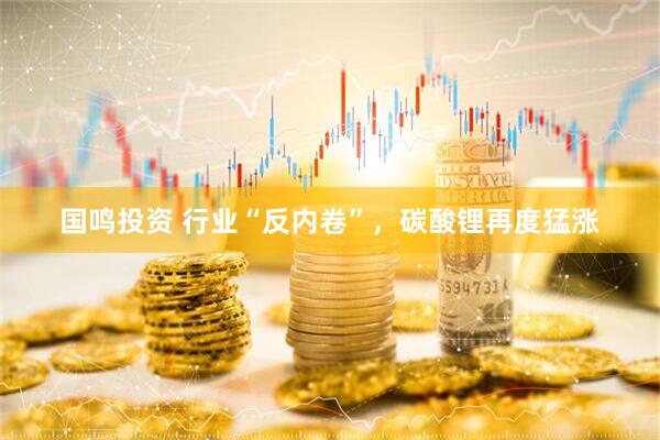 国鸣投资 行业“反内卷”，碳酸锂再度猛涨