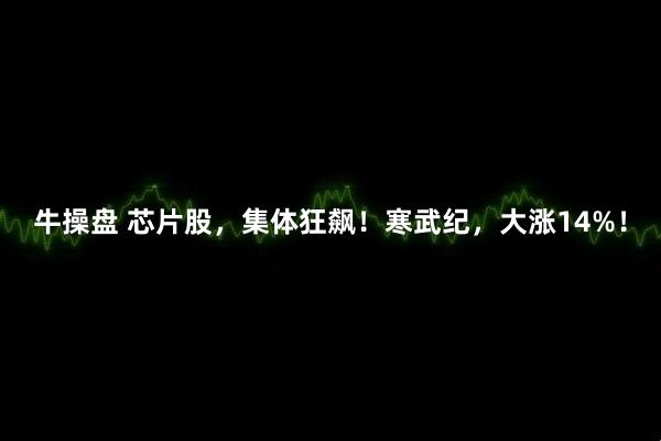 牛操盘 芯片股，集体狂飙！寒武纪，大涨14%！